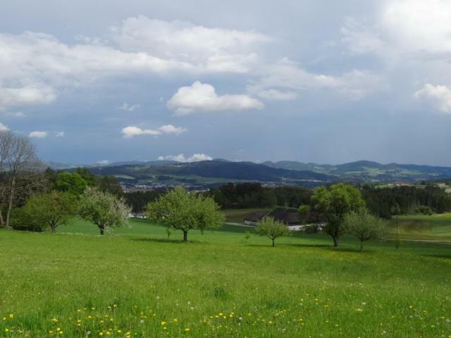 Desl'S Little Farm Διαμέρισμα Waldburg Εξωτερικό φωτογραφία